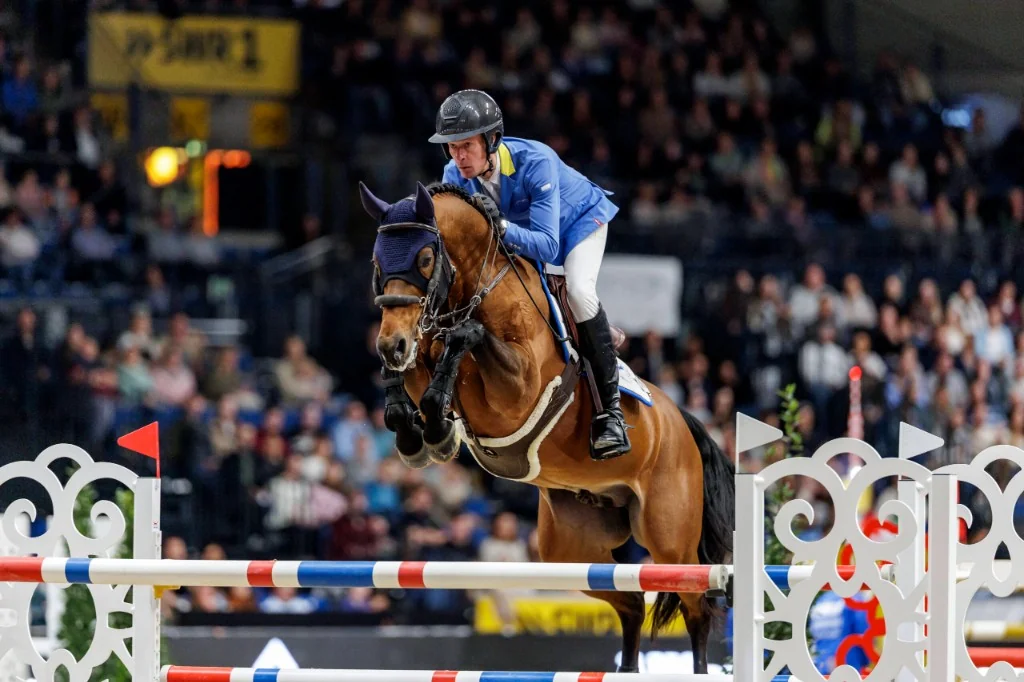 Springpferd und Reiter im internationalen Turniersport