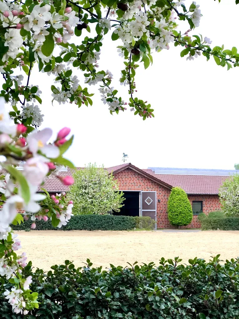 Stallgebäude von Lena Bieler mit Blüten im Vordergrund